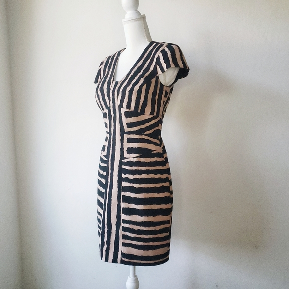 4.Collective Zebra Sheath Dress Anthropologie - Picture 2 of 8